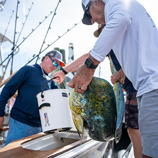 2025 Christopher Perri Memorial Billfish Tournament.